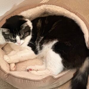 Meet your Posher, Cristina